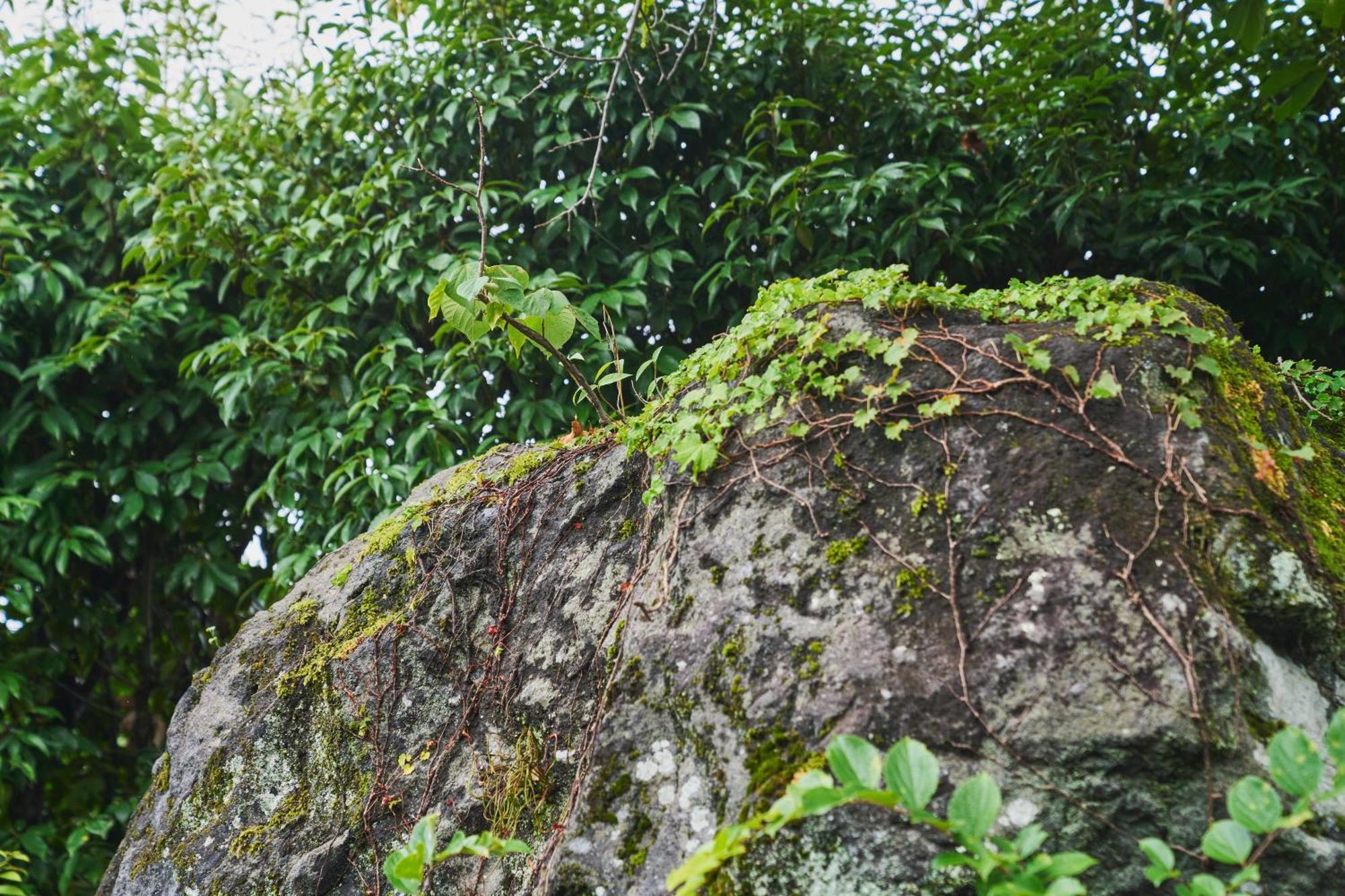 温泉付きの一軒家を借りよう Beppu Exterior foto
